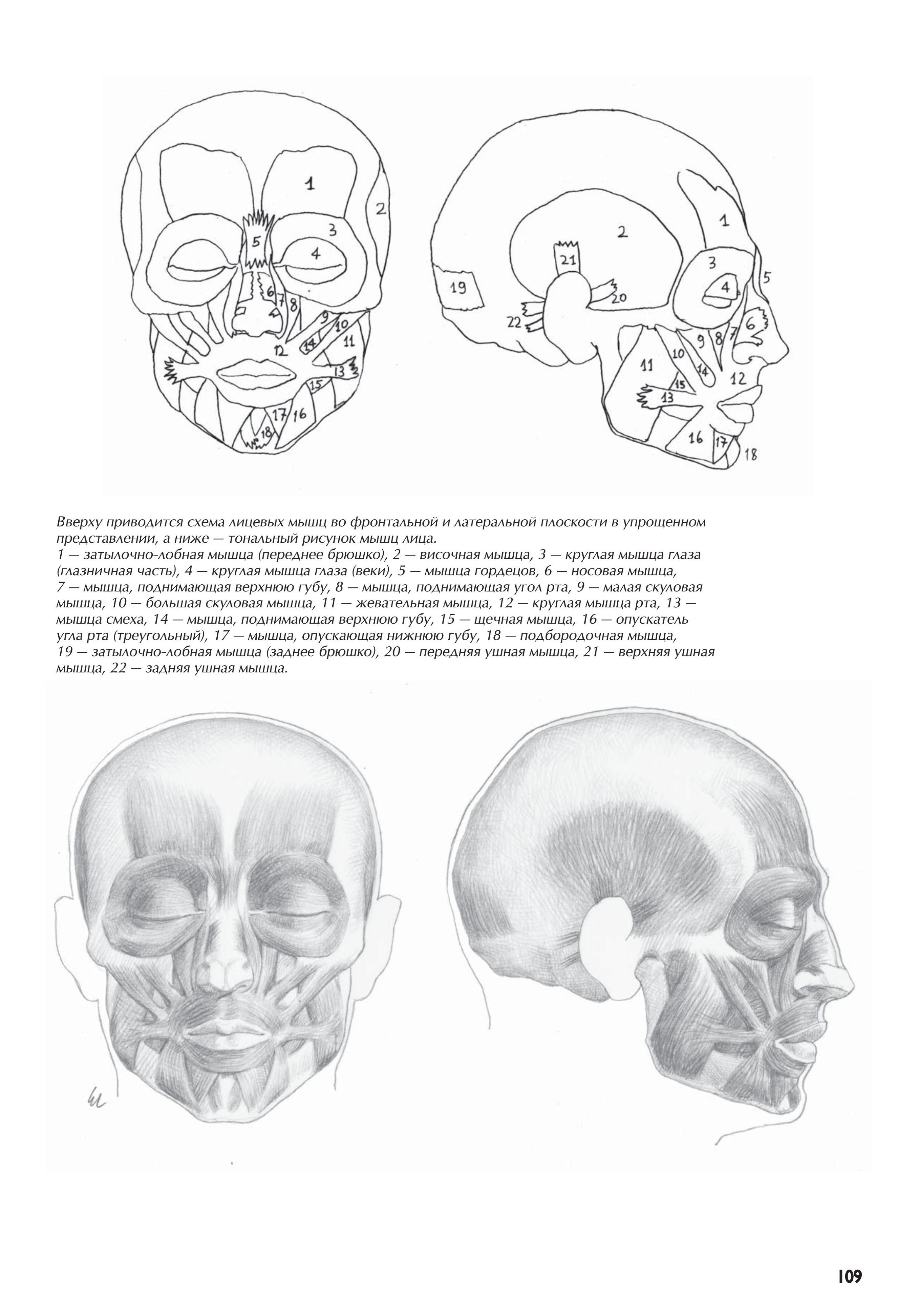 آموزش نقاشی طراحی سیاه قلم شهرری